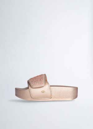  *BROWN