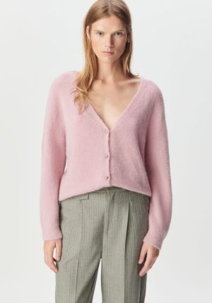 Blush