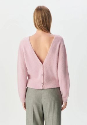 Blush