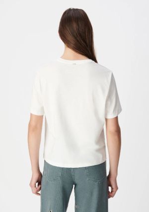 Blanc Cassé