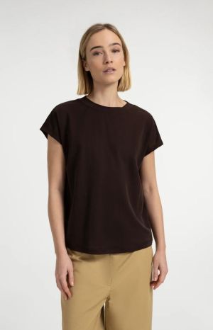 99074 AUBERGINE