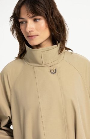 61110 OLIVE GRA