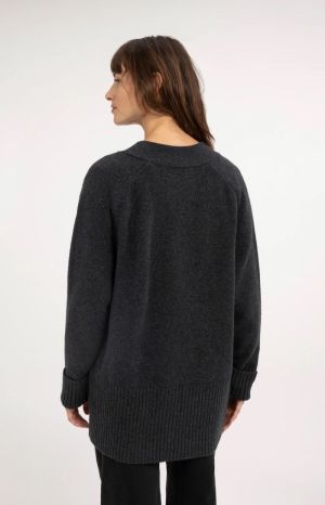 990962 DARK ANT